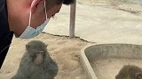 山东临沂：男子逗猴把猴惹炸毛 跟猴子打起来了