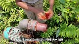 比印度还牛，巴铁摩托车已出神入化，网友只有想不到没有做不到