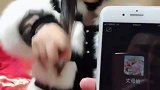 同时得罪三个女人，臭小子白养你二十多年！
