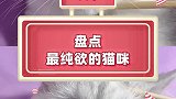 猫界纯欲天花板，你心动了吗？