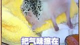 这是一种专门作为宠物的刺猬哦