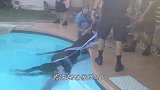 男子在游泳池发现一团黑影，走近看清后，立马叫来救援人员