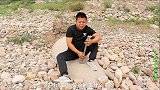 金毛野外捡回块牛粪，非要小虎给它撒上孜然辣椒烤着吃，可真恶心
