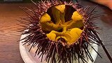 300年长成的海胆...躲过沟坎儿无数，最终588上餐桌美食 北京美食 海鲜 美食