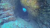 海底发现神秘城墙，疑似9000年前灭亡的亚特兰蒂斯，你怎么看