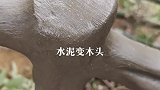 画出木头的年龄