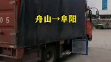 忠犬随主人跨省运货，返程路上产8只崽崽