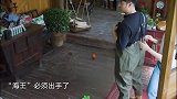 陈赫要去捞鱼，还自封“海王”，张子枫主动送上“三叉戟”