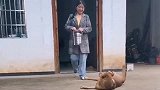 到田间给咱爸比送饭去！