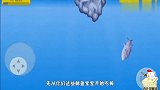 美味海洋鲨鱼误入鲸鱼领地,带鱼群转圈圈,长大后把它们全吃光