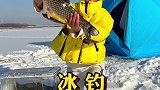 东北很冷，但人心更暖
