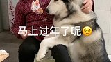 洛洛跟婆婆要过年红包，看它的样子可爱了，都忍住别笑