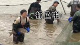 免费吃！武科大师生寒风中下湖捕鱼 4万师生共享“沁湖鱼宴”