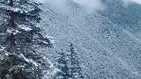 雪景中的天路十八弯。你说美不美？
