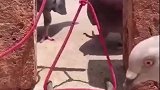 等半天等了个寂寞