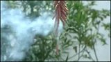 为了继承家业，小伙把匾额挂了上去