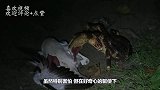农夫半夜听见惨叫声，起身一看乐了，得来全不费功夫