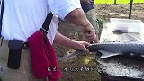 世界上最大的淡水鱼，鱼鳞比盔甲还硬，切开后长啥样？