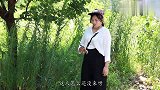 大龄剩女和穷小伙相亲，两人对话从开头笑到最后，真是太有趣了