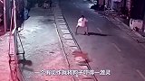 小伙子一看就是练家子，路上惨遭4条狗子围攻，男子将其一招制服
