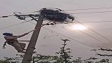 电力小哥哥爬百米高空，就为了掏鸟窝，胆量是真大？