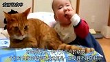 孩子一口含住猫咪尾巴，猫咪正想发怒，回头见是小主人秒变初恋脸