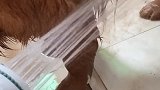 就水费突然升高了一点点