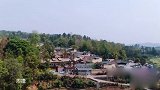 秦海璐穿高跟鞋下陡坡，走路姿势太魔性，王新军捂脸没眼看