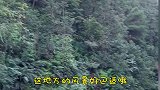 四川方言；爆笑易老幺看一次笑一次 看完直接笑喷了
