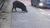 今天没200起不来