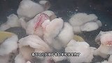罗非鱼简单不腥的做法，只要吃过一次就会忘不掉，葱香浓郁太香了
