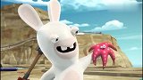 疯狂的兔子：3只疯兔在沙滩玩，争夺海星，吵吵闹闹欢乐多