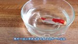 把鲜活的鱼放到雪碧里面，会产生什么反应呢，镜头记录下全过程