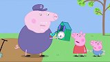 小猪佩奇：猪爷爷还会修钟表，真是厉害，佩奇快来看啊