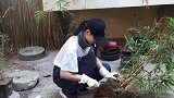 朋友过来，来的时候说，开始我以为你在作秀，把我给逗乐了