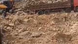 这是什么车，轱辘比房子还高