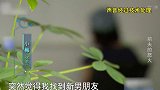 男子得知前妻另寻新欢，与新欢约谈，一见面就手持凶器追砍新欢