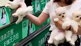 小姐姐满心欢喜，结果帅哥让人失望