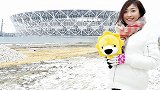 马马耶夫体育场外形酷似鸟巢 伏尔加格勒市长盼与德国再战一场
