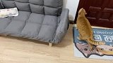 小猫咪才喜欢玩具，成年的猫咪早已盯上了玩具盒子！