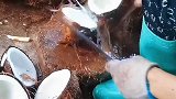 这速度，8小时3千个没问题…