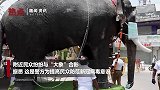 脑洞太大！印度警察给“大象”戴俩口罩 分别遮住口鼻