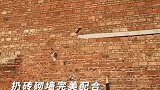 扔砖砌墙完美配合，一抛一接动作行云流水