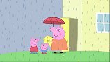 乔治不爱穿雨衣，还总问为什么，这下果然感冒了