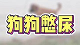 这是回家高速堵车导致的吗？
