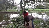 这视频太逗了，不信你看看