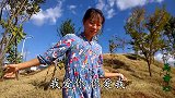 2020一首歌送给有情人，不管结没结婚的男女都听听，好听极了