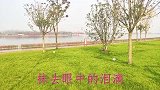 魏三翻唱《抹去泪水》旋律优美，感情真挚动人