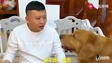 主人让轮胎照顾孩子，给它肉干做奖励，轮胎吃饱了，就罢工了，逗