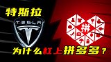 特斯拉为什么杠上拼多多？